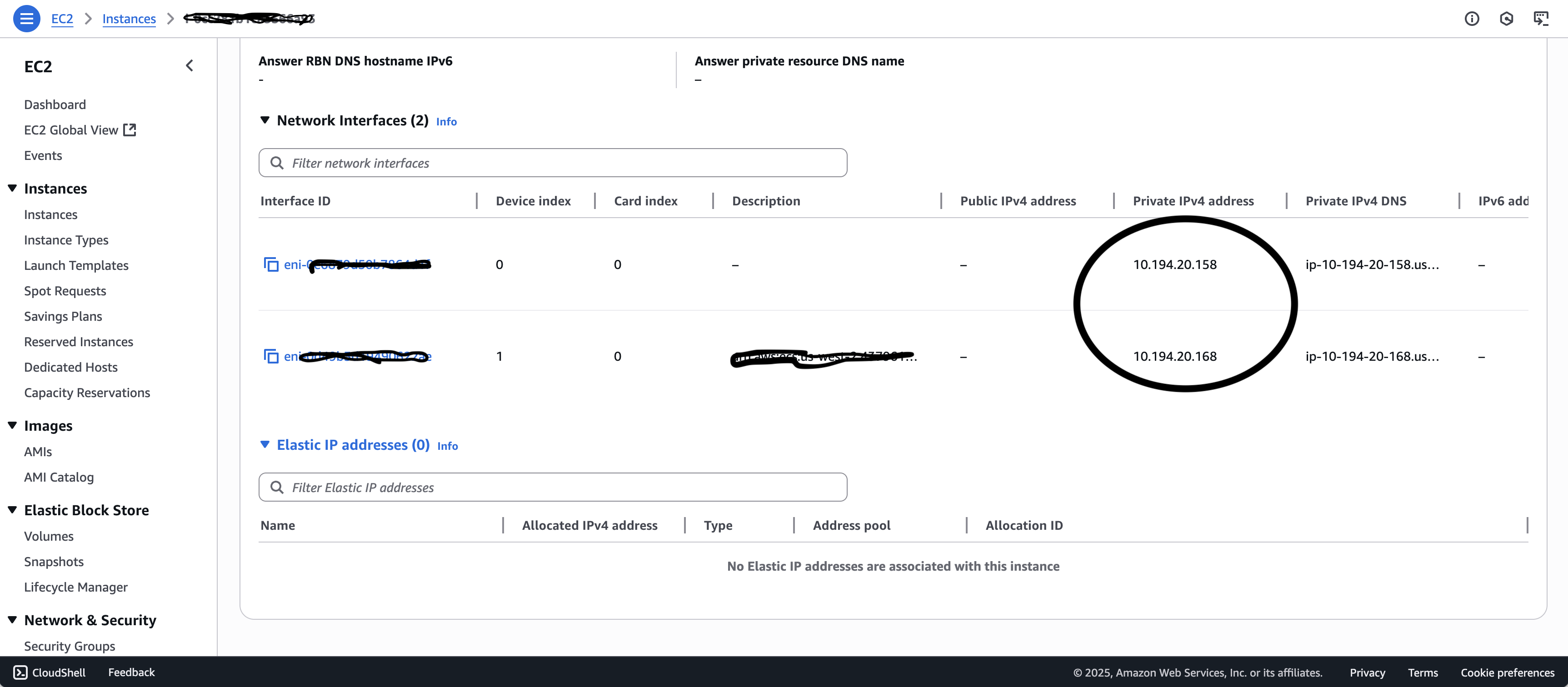 Network Interface Screenshot